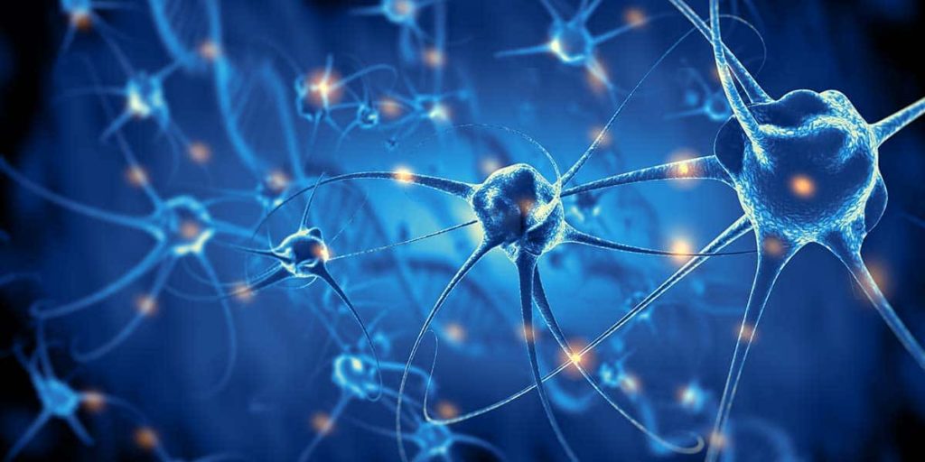 What is Neuroplasticity?
